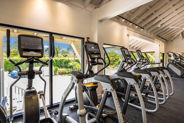 exercise room featuring lofted ceiling and track lighting