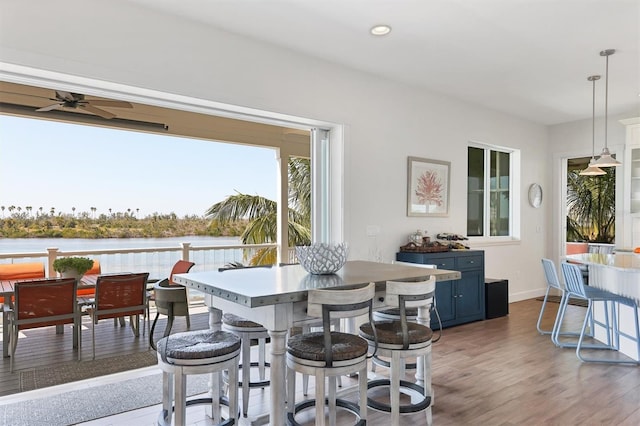 dining area featuring ceiling fan and dark wood-type flooring