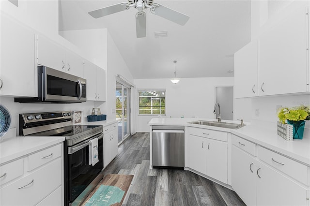 kitchen featuring white cabinetry, sink, dark wood-type flooring, stainless steel appliances, and lofted ceiling