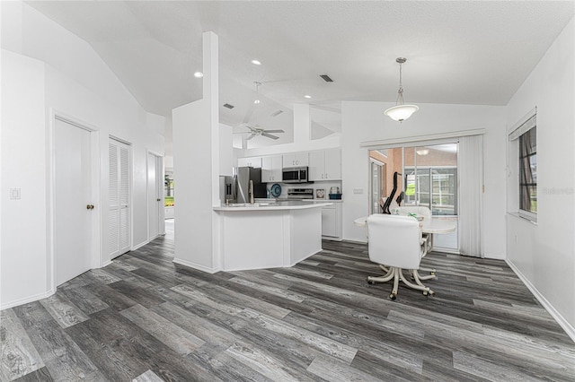 kitchen with white cabinets, dark hardwood / wood-style floors, and appliances with stainless steel finishes