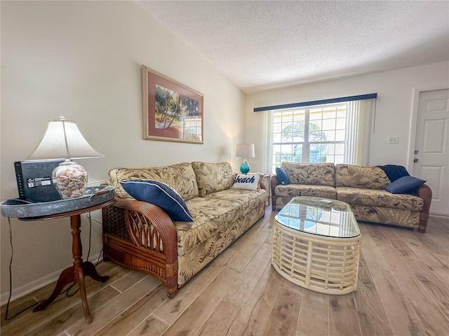 living room featuring hardwood / wood-style floors and a textured ceiling