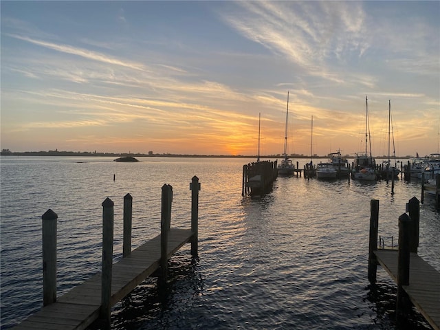 dock area with a water view