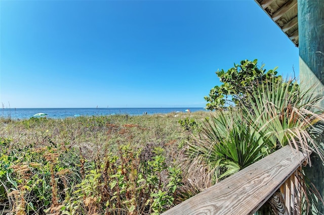 view of water feature featuring a view of the beach