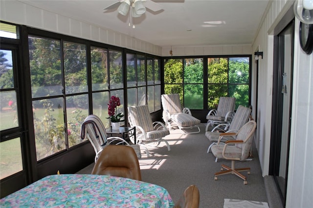 sunroom featuring ceiling fan and a healthy amount of sunlight