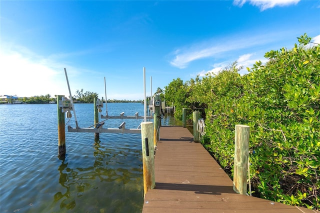 dock area with a water view