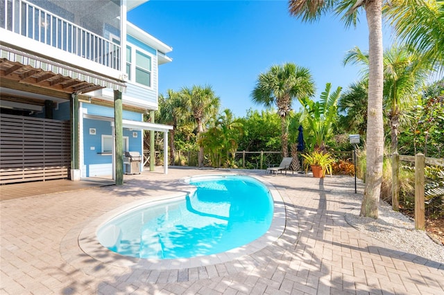 view of pool featuring grilling area and a patio