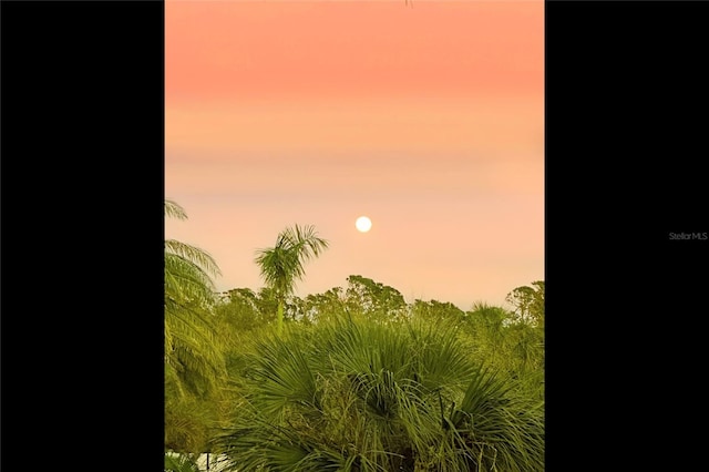 view of nature at dusk