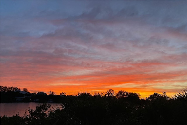 nature at dusk with a water view