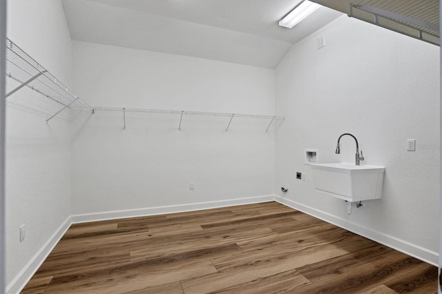 laundry area with washer hookup, sink, and dark hardwood / wood-style flooring