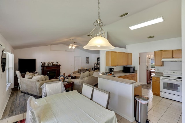 dining space with lofted ceiling, light hardwood / wood-style floors, ceiling fan with notable chandelier, and sink