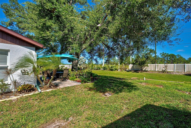 view of yard with a patio area