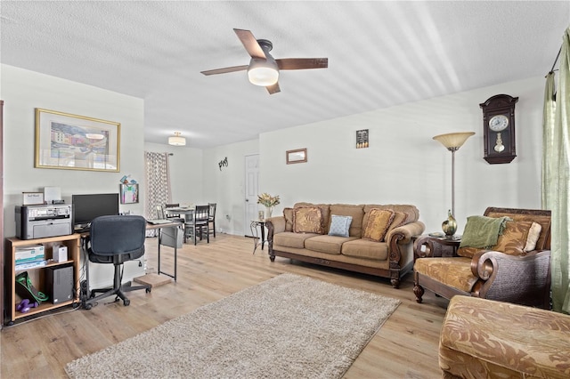 office featuring ceiling fan, light hardwood / wood-style floors, and a textured ceiling