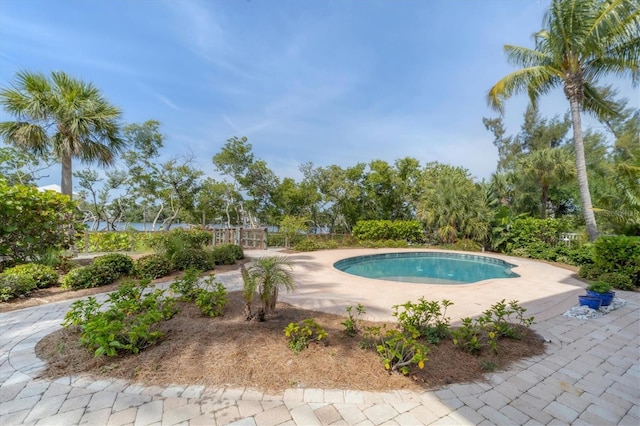 view of swimming pool featuring a patio