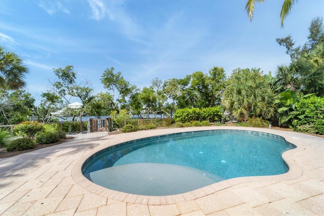 view of pool with a patio