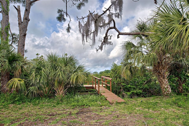 view of yard featuring a boat dock