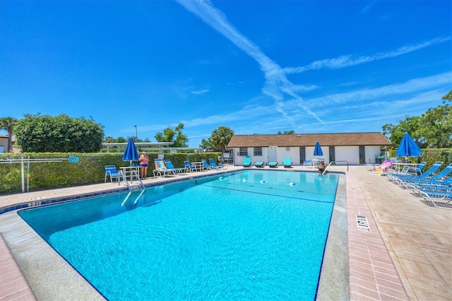 view of pool with a patio area