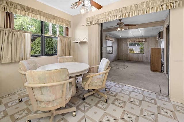 carpeted dining room with ceiling fan and plenty of natural light