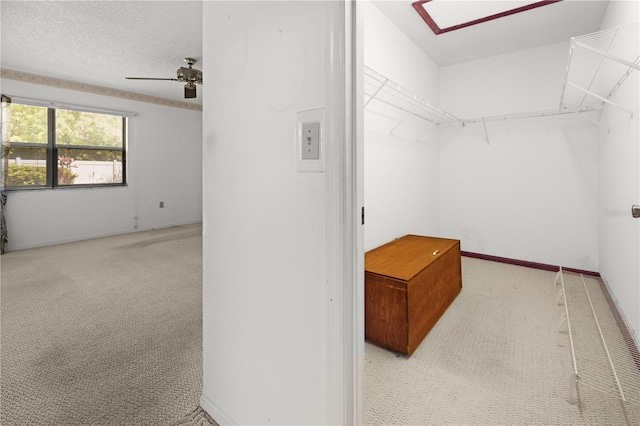 spacious closet with ceiling fan and light colored carpet