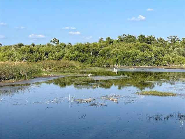 view of water feature