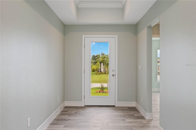 entryway with light hardwood / wood-style flooring and a tray ceiling