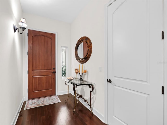 foyer featuring dark wood-type flooring