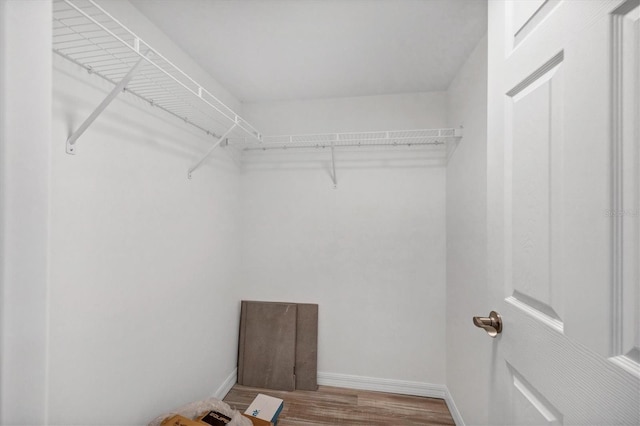 walk in closet featuring hardwood / wood-style flooring