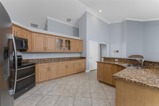 kitchen featuring sink, dark stone countertops, ornamental molding, a towering ceiling, and appliances with stainless steel finishes