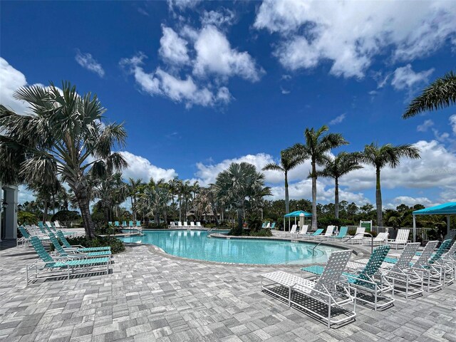 view of swimming pool featuring a patio area