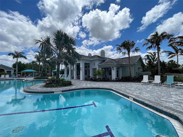 view of pool featuring a patio