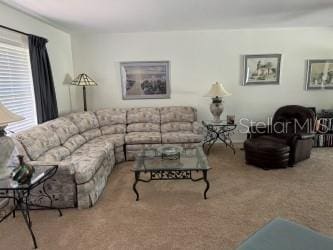 carpeted living room with a healthy amount of sunlight