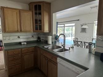 kitchen with dishwasher and sink