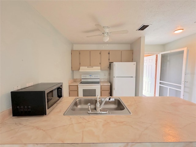 kitchen featuring sink, cream cabinetry, light brown cabinets, white appliances, and ceiling fan