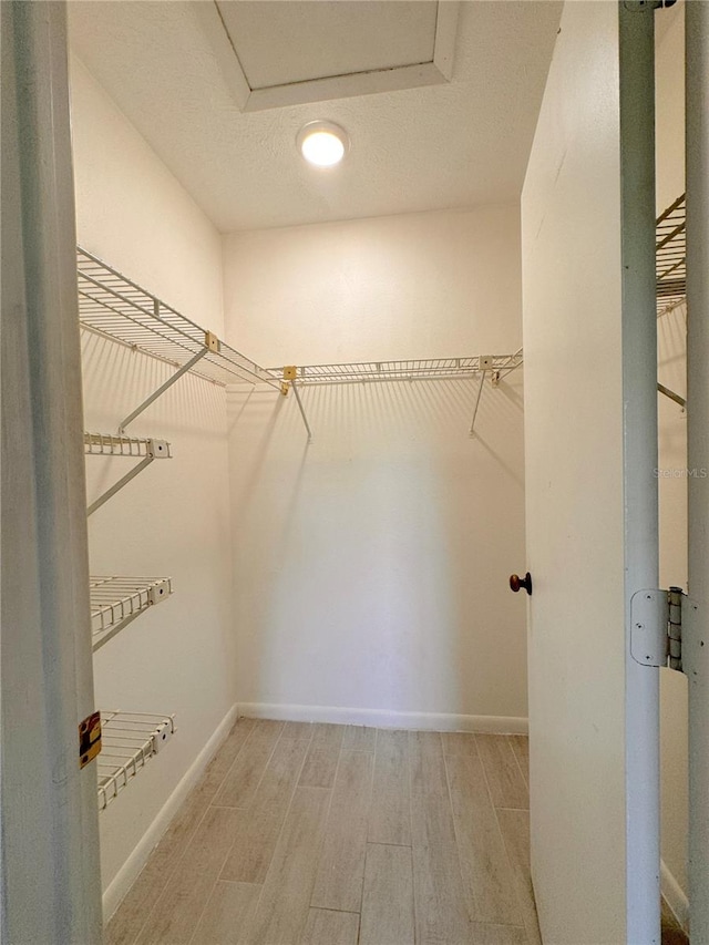 spacious closet featuring wood-type flooring