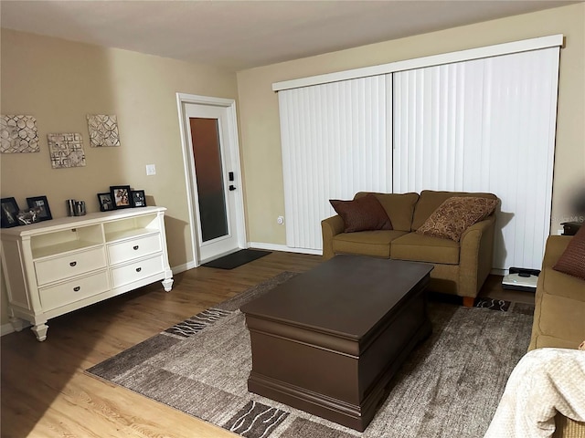 living room with dark hardwood / wood-style floors