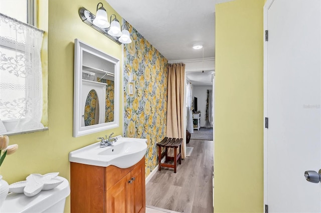 bathroom featuring wood-type flooring, oversized vanity, and toilet