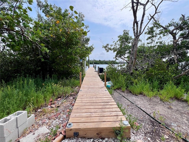 view of property's community featuring a dock and a water view