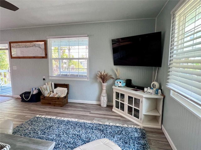 living room with wood-type flooring and plenty of natural light