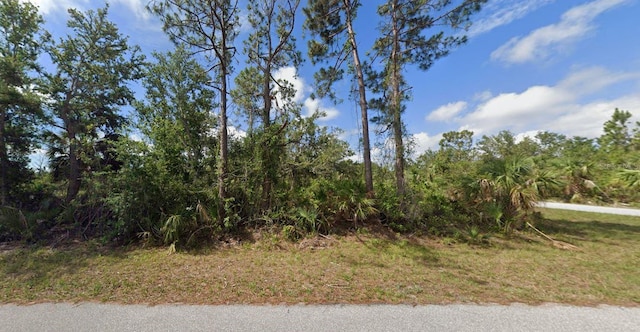 12501 Glee Ave, Port Charlotte FL, 33981 land for sale