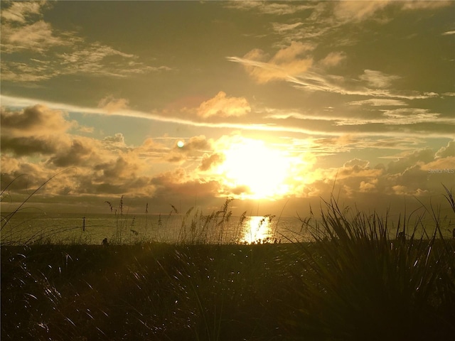 view of nature at dusk