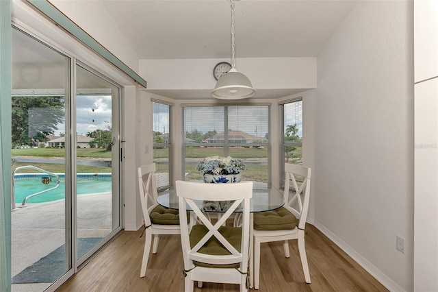 dining room with a healthy amount of sunlight and light hardwood / wood-style floors