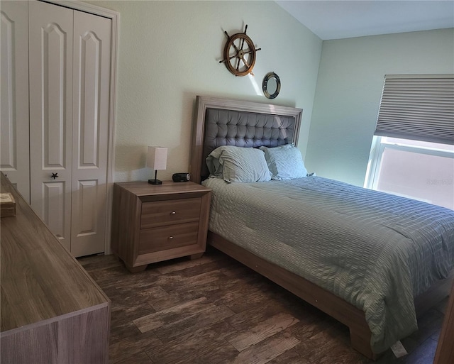 bedroom with dark hardwood / wood-style floors and a closet