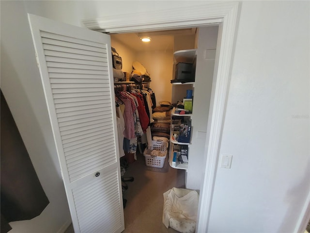 view of walk in closet