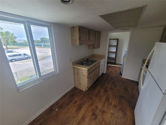 kitchen with a healthy amount of sunlight, white appliances, and dark hardwood / wood-style flooring