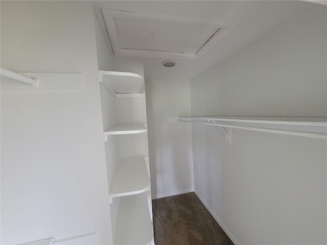 22481 Westchester Blvd Unit B35, Punta Gorda, FL 33980 - spacious closet featuring attic access and dark carpet