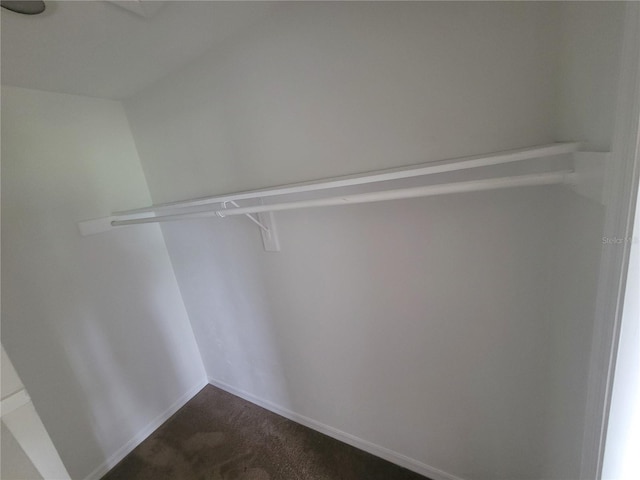 22481 Westchester Blvd Unit B35, Punta Gorda, FL 33980 - walk in closet featuring dark colored carpet