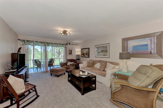 carpeted living room with a textured ceiling