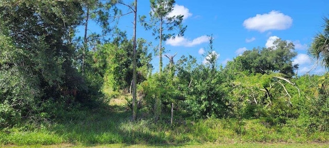 4459 S Access Rd, Englewood FL, 34224 land for sale