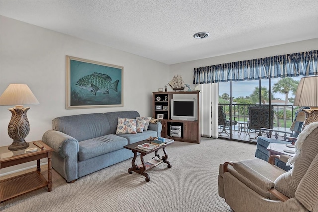 living room featuring carpet floors and a textured ceiling