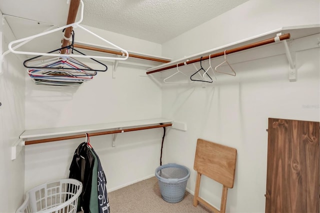 walk in closet featuring light colored carpet