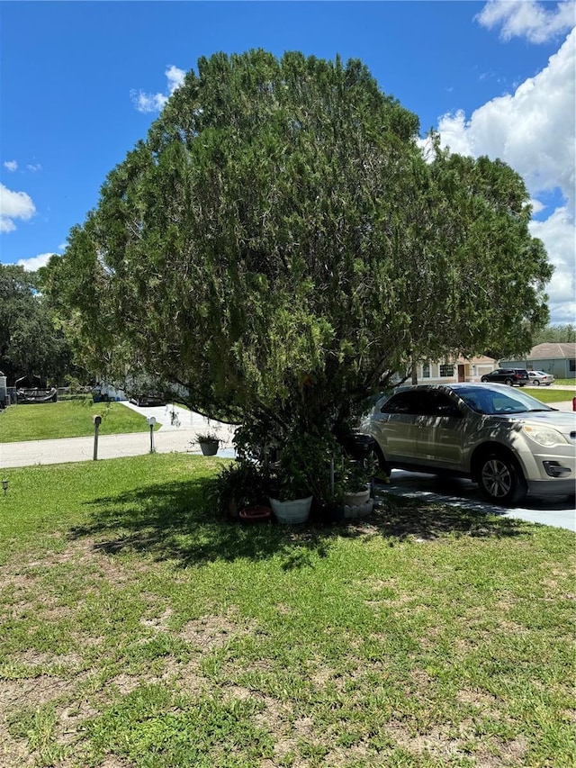 4029 E Sunflower Cir, Labelle, FL 33935 - exterior space